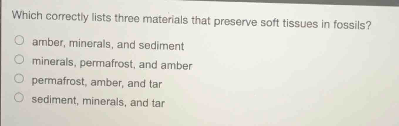which correctly lists three materials that preserve soft tissues in fos…