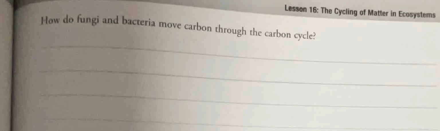 lesson 16: the cycling of matter in ecosystems how do fungi and bacteri…