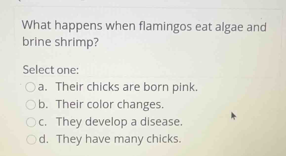 what happens when flamingos eat algae and brine shrimp? select one: ○a.…