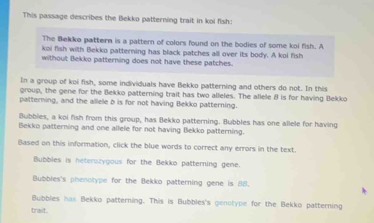 this passage describes the bekko patterning trait in koi fish: the bekk…