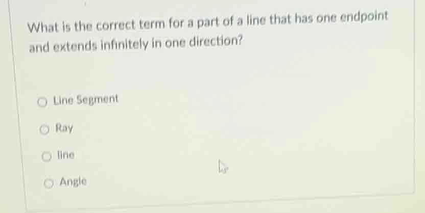 what is the correct term for a part of a line that has one endpoint and…
