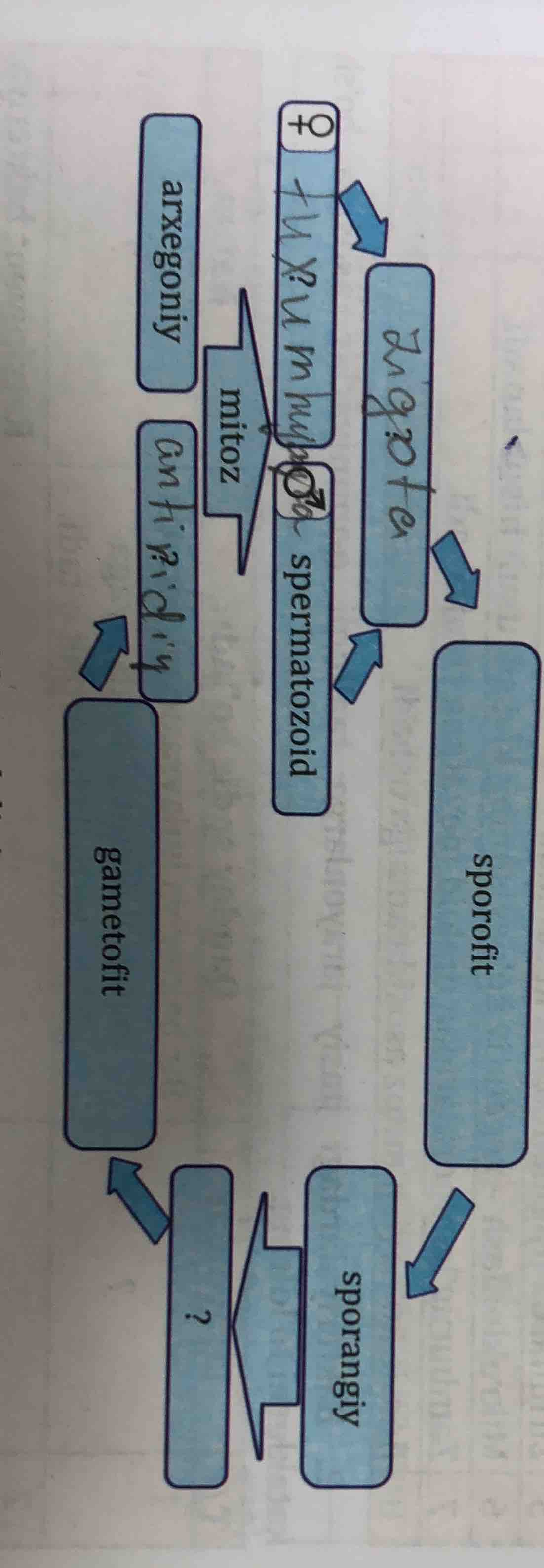 the image shows a flowchart related to a biological process (likely alt…