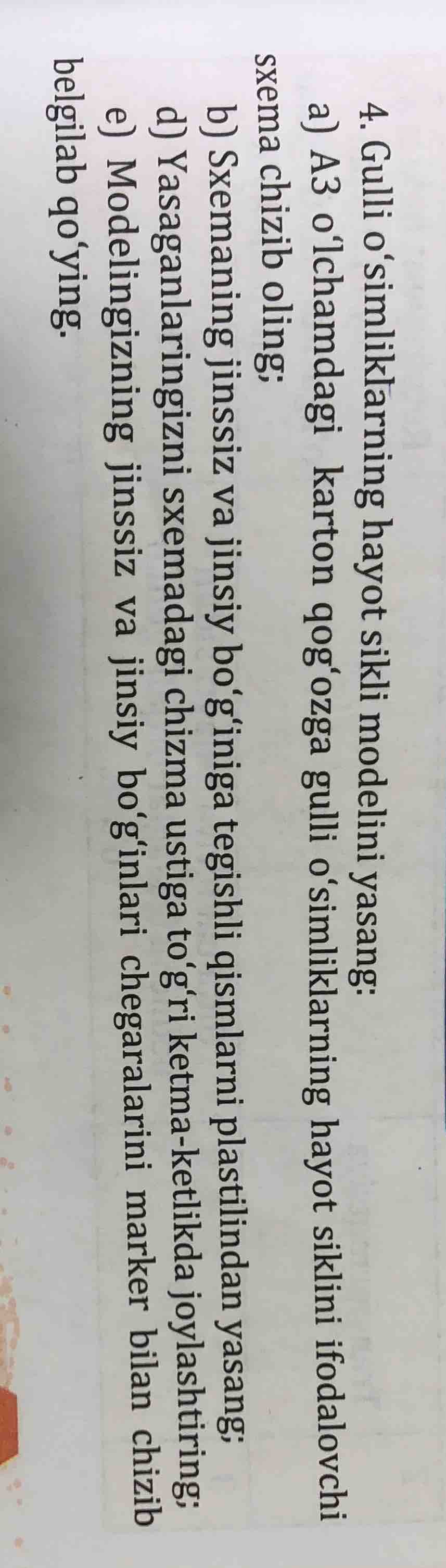 4. gulli o‘simi lkl arn i ng hayot sikli modelini yasang: a) a3 o‘lcham…