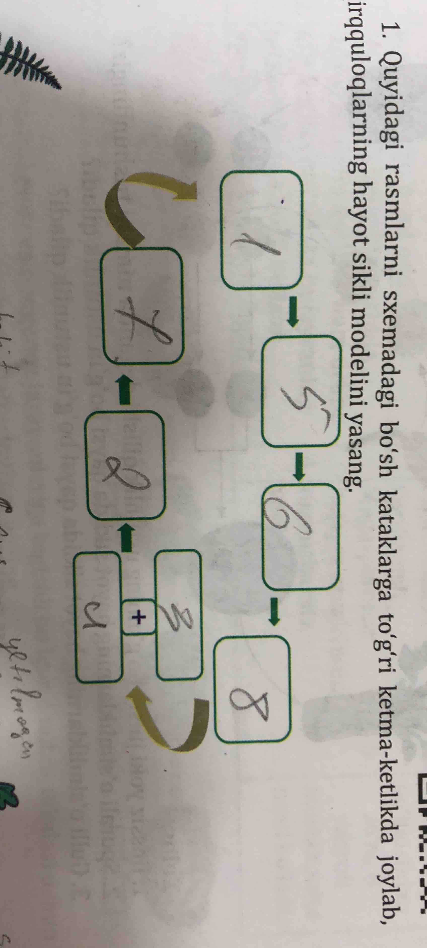 1. quyidagi rasmlarni sxemadagi bo‘sh kataklarga to‘g‘ri ketma-ketlikda…