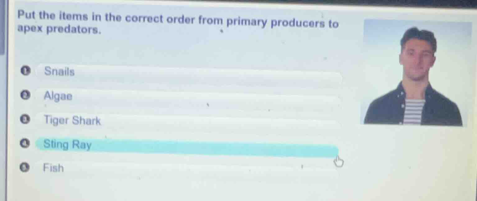 put the items in the correct order from primary producers to apex preda…