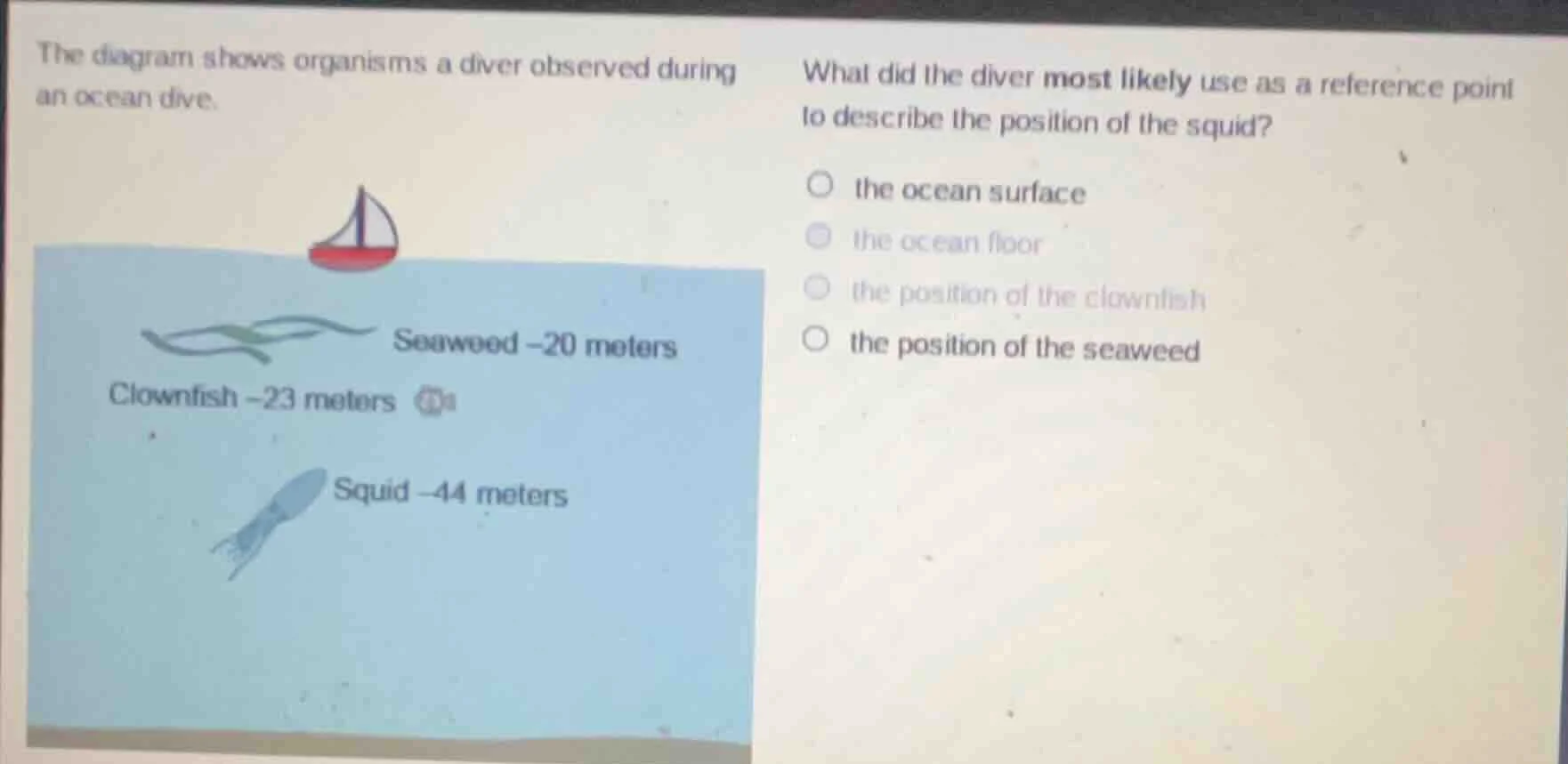 the diagram shows organisms a diver observed during an ocean dive. what…