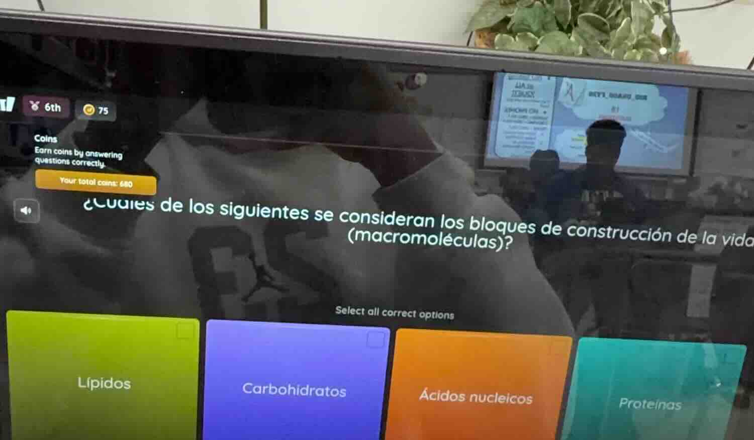 ¿cuáles de los siguientes se consideran los bloques de construcción de …