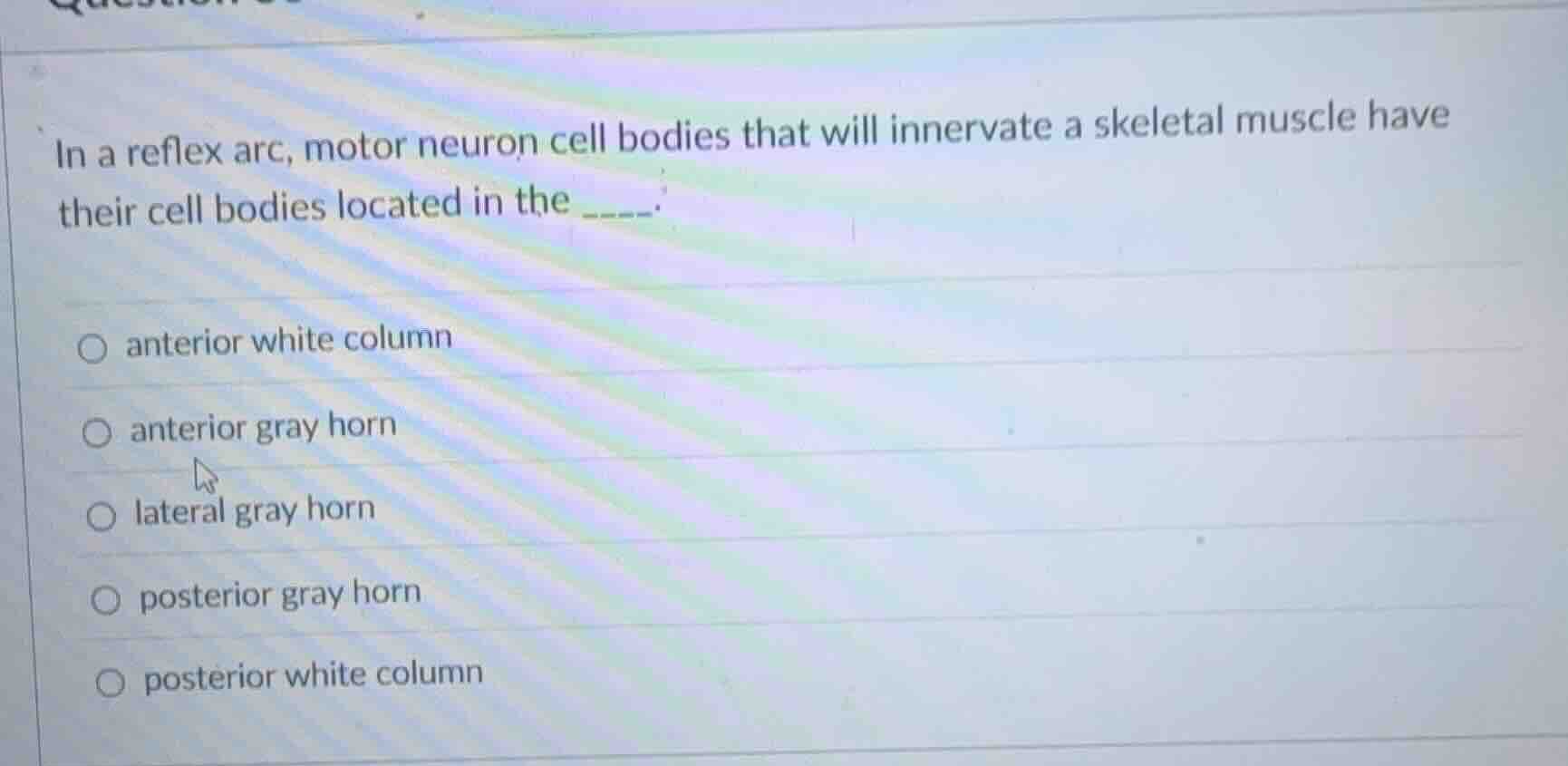 in a reflex arc, motor neuron cell bodies that will innervate a skeleta…