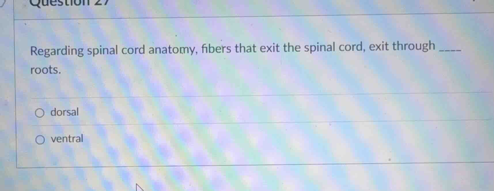 regarding spinal cord anatomy, fibers that exit the spinal cord, exit t…