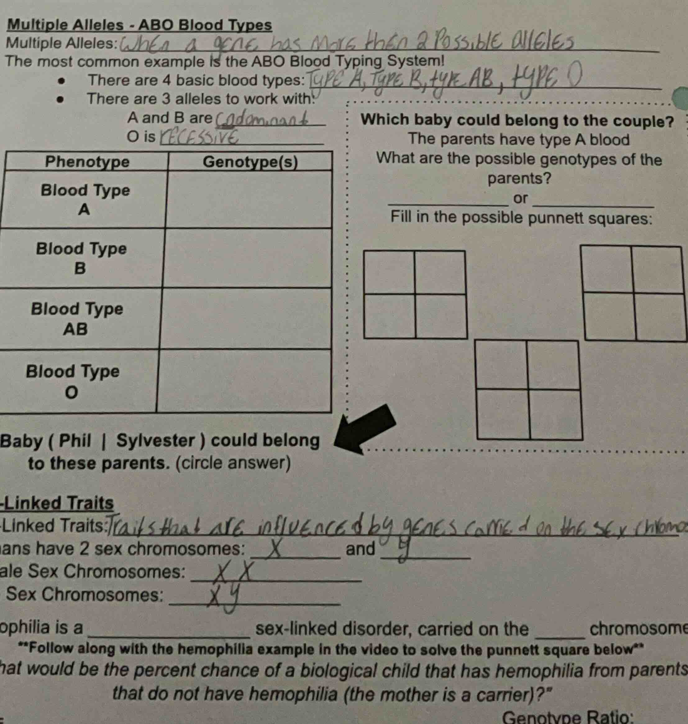 multiple alleles - abo blood types multiple alleles: the most common ex…