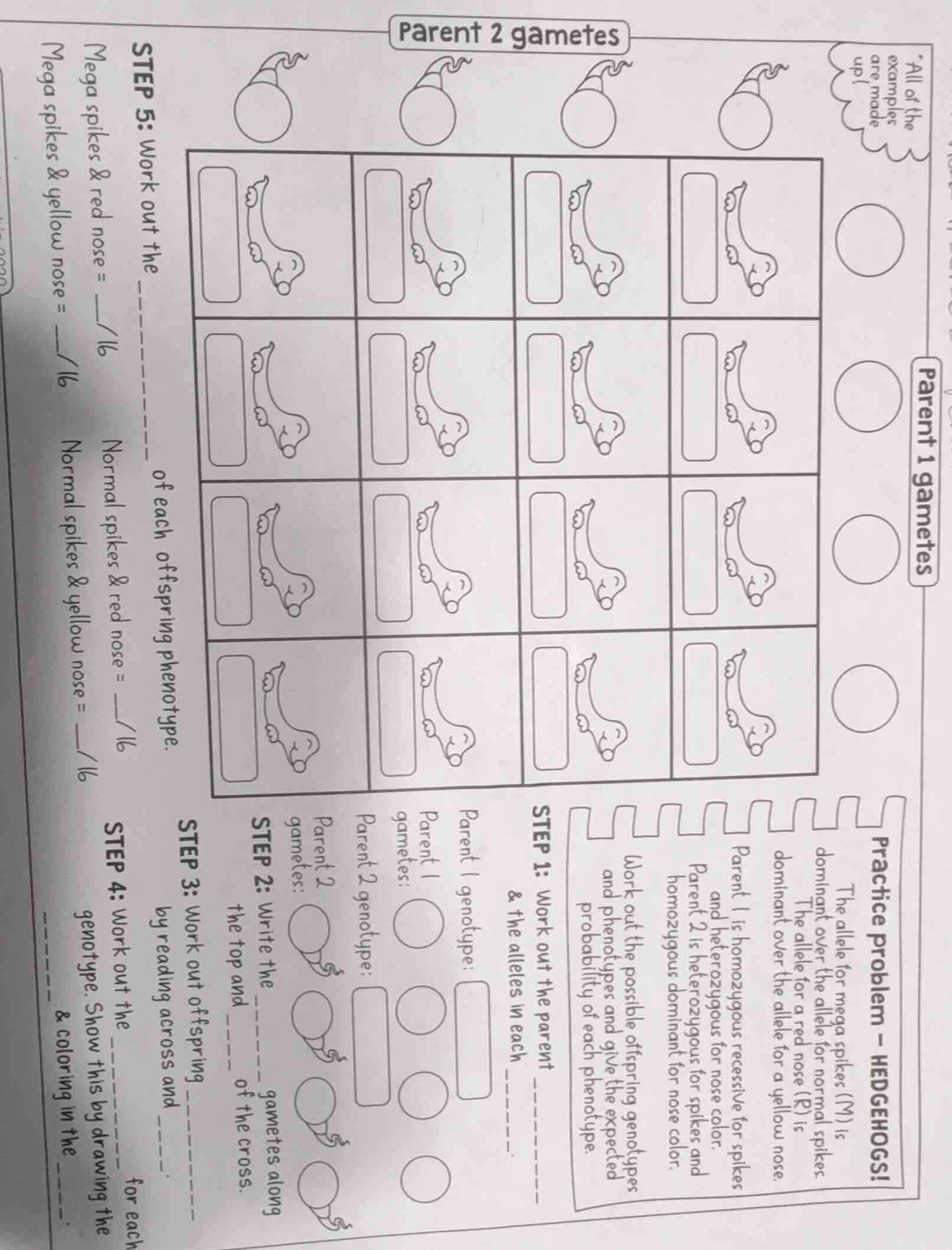 practice problem - hedgehogs! the allele for mega spikes (m) is dominan…