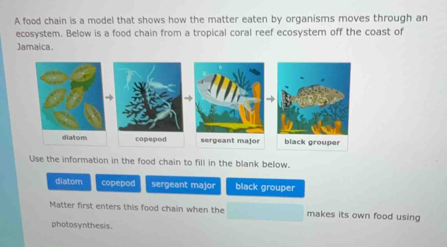 a food chain is a model that shows how the matter eaten by organisms mo…