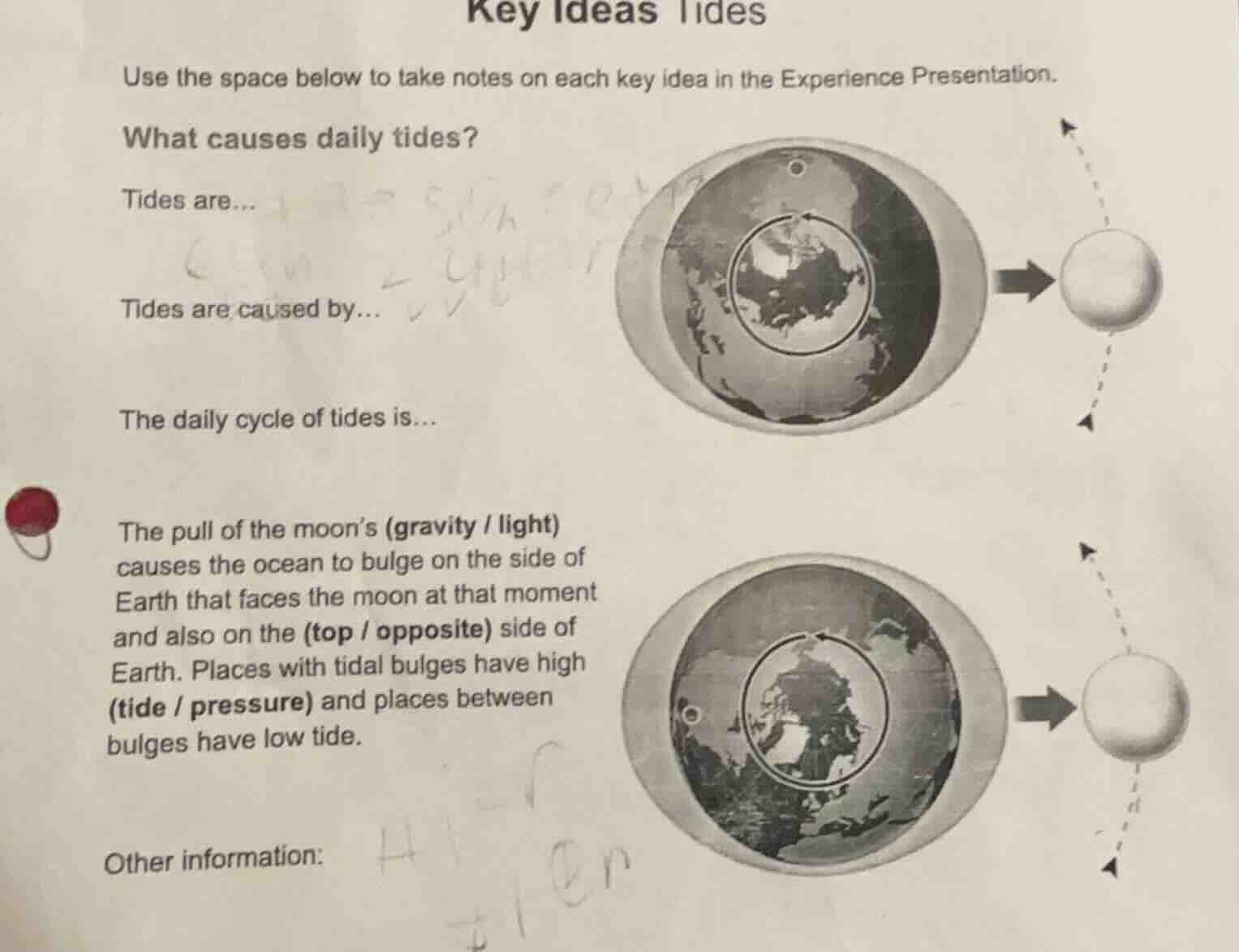 key ideas tides use the space below to take notes on each key idea in t…