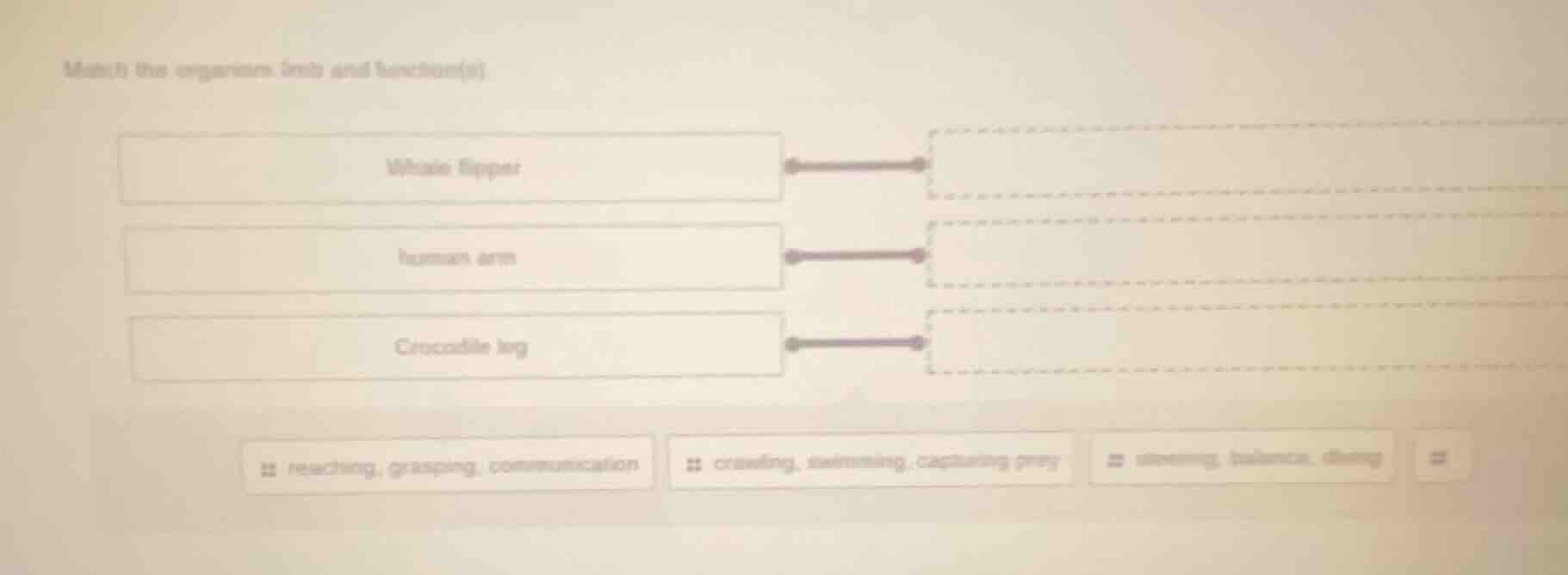 match the organisms, limb and function(s): whale flipper human arm croc…