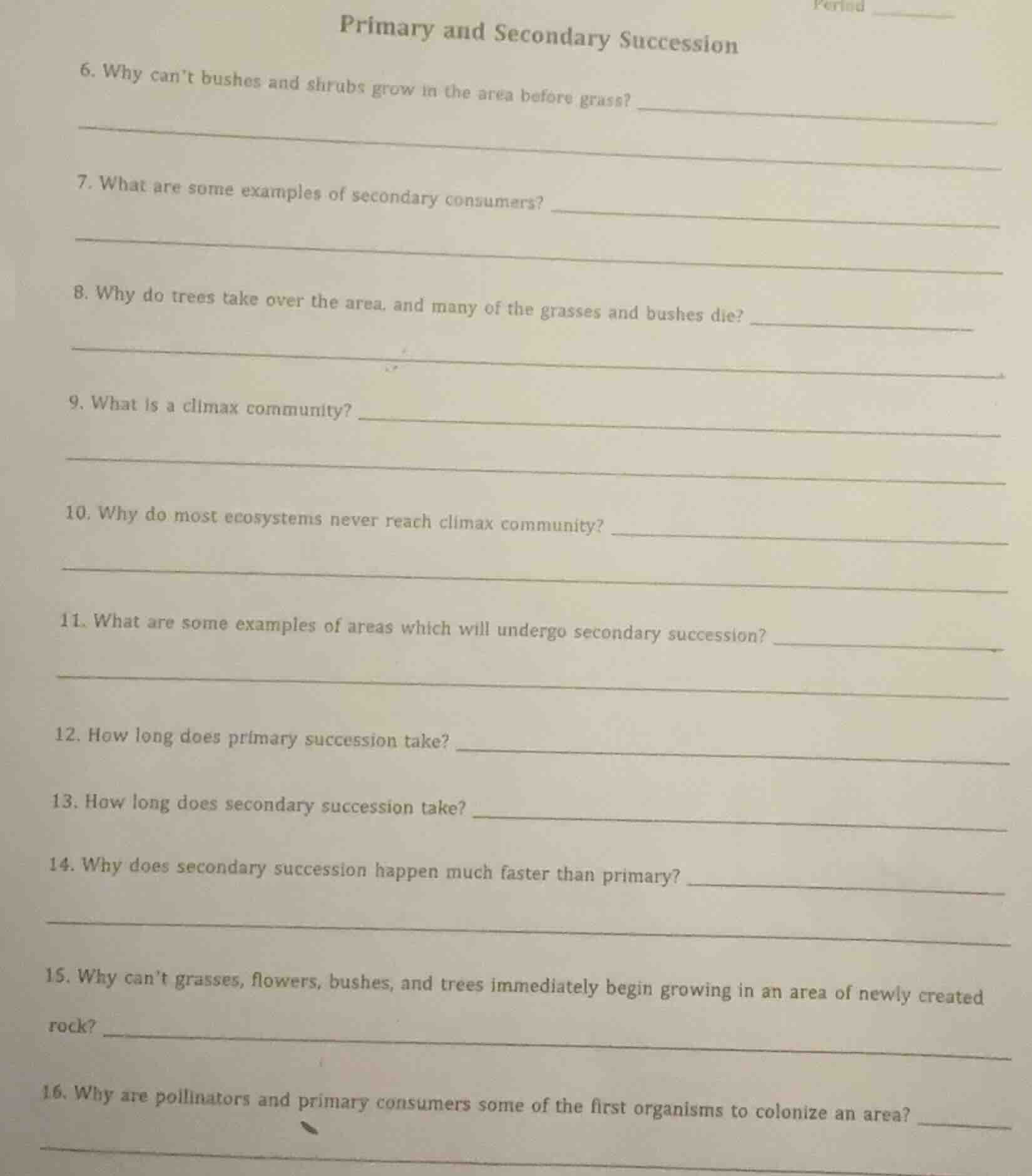 primary and secondary succession 6. why cant bushes and shrubs grow in …