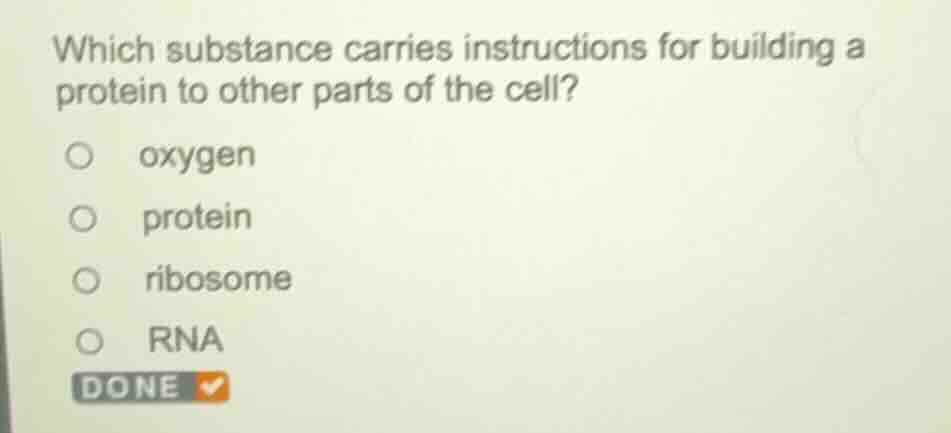 which substance carries instructions for building a protein to other pa…