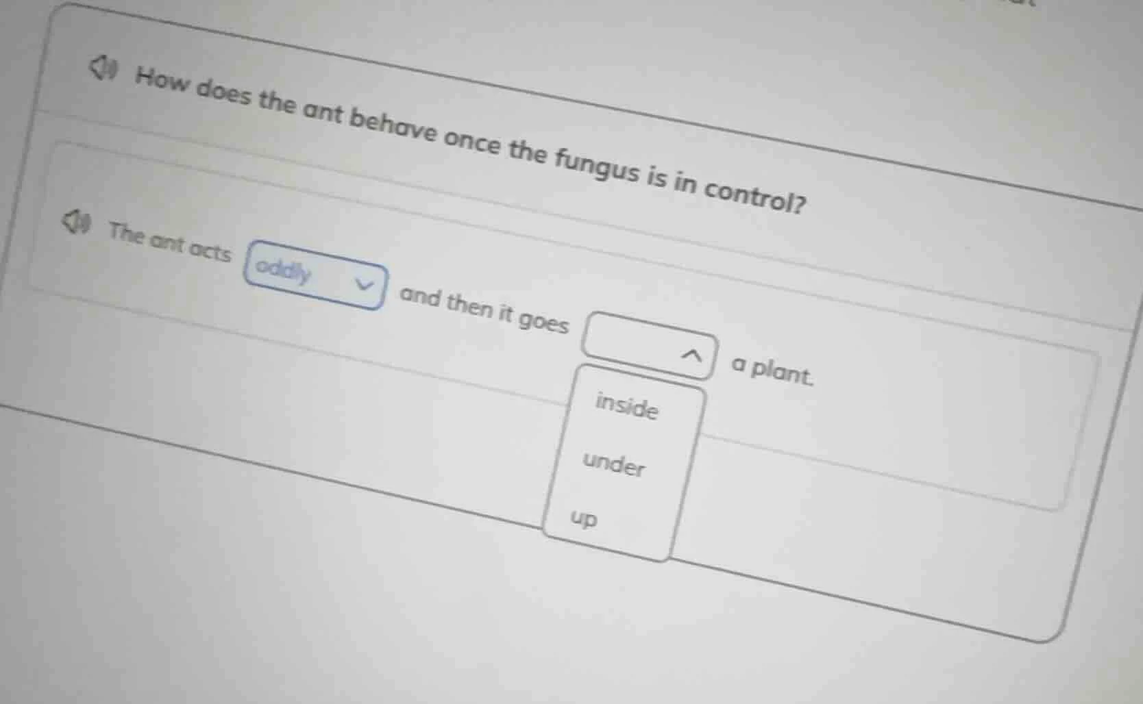 how does the ant behave once the fungus is in control? the ant acts odd…