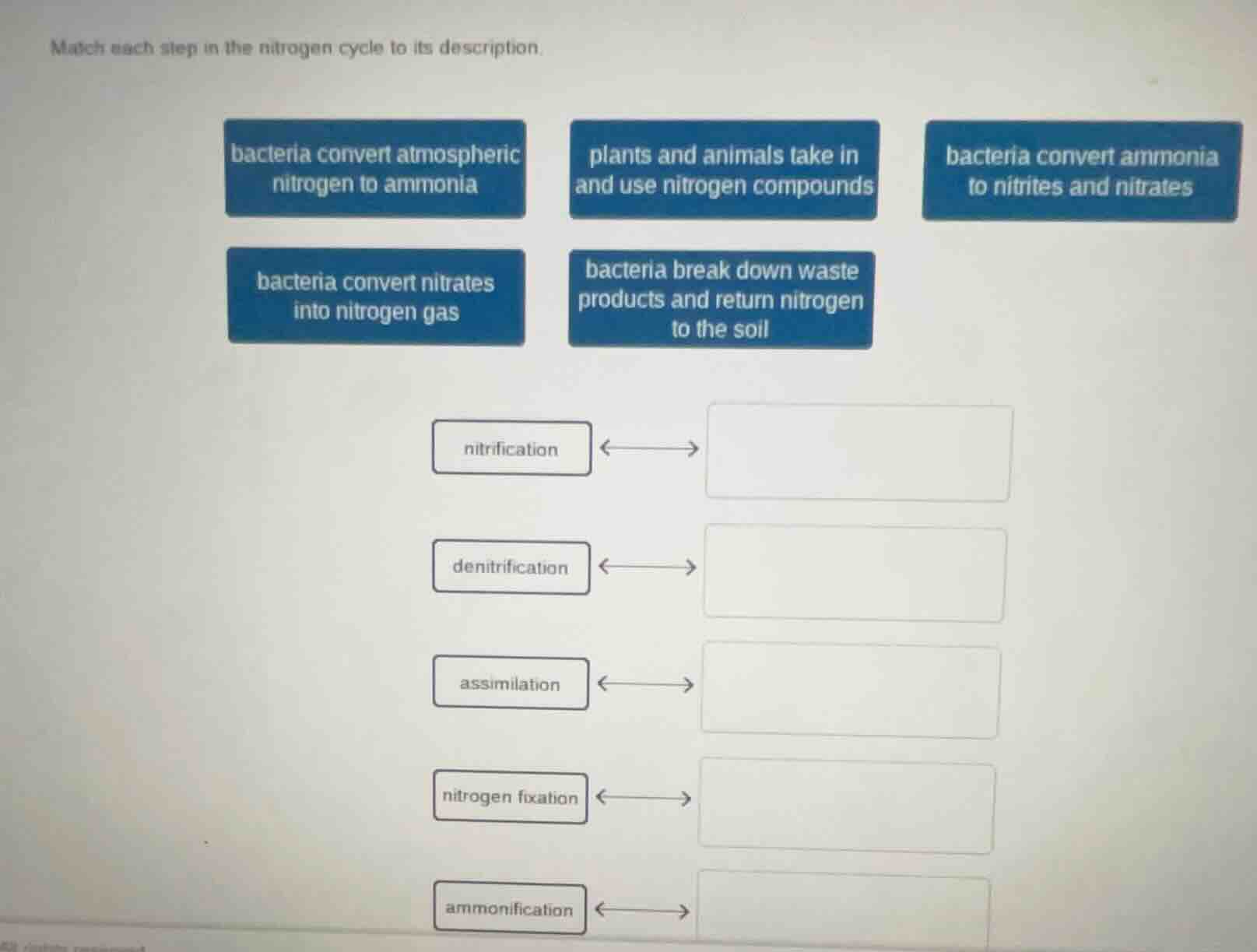 match each step in the nitrogen cycle to its description. bacteria conv…