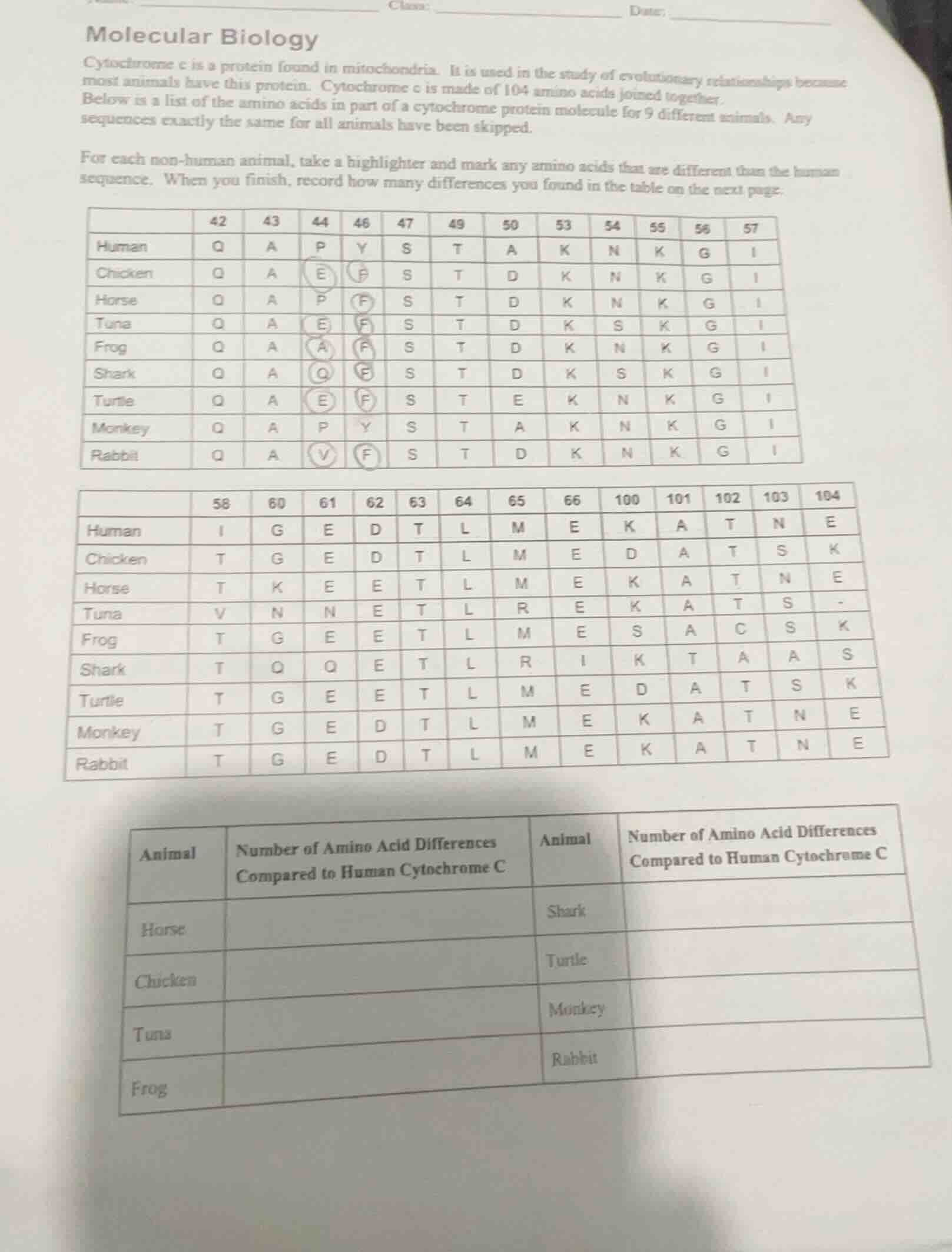 molecular biology cytochrome c is a protein found in mitochondria. it i…