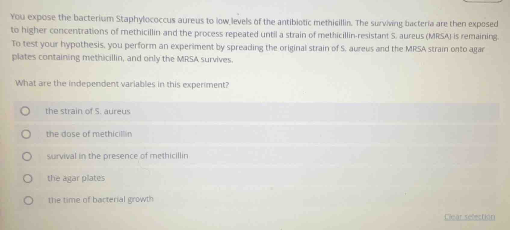 you expose the bacterium staphylococcus aureus to low levels of the ant…