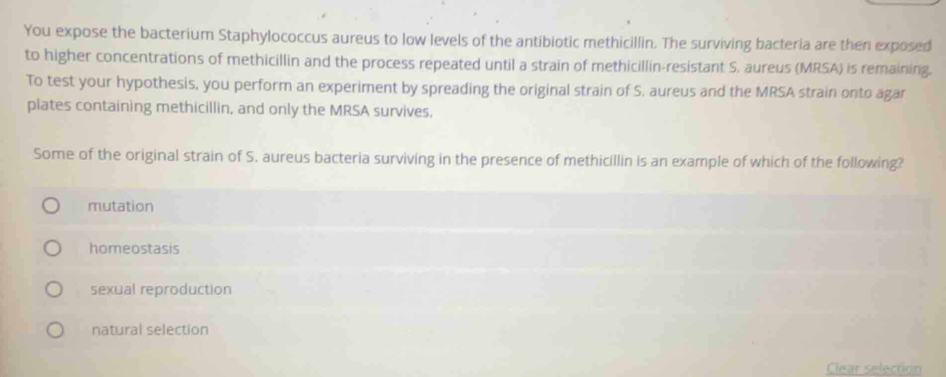 you expose the bacterium staphylococcus aureus to low levels of the ant…