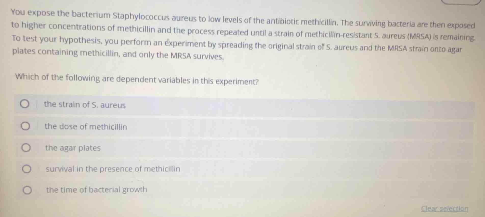 you expose the bacterium staphylococcus aureus to low levels of the ant…