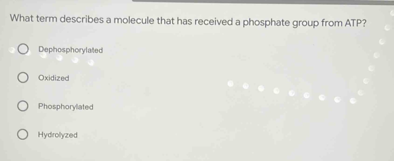 what term describes a molecule that has received a phosphate group from…