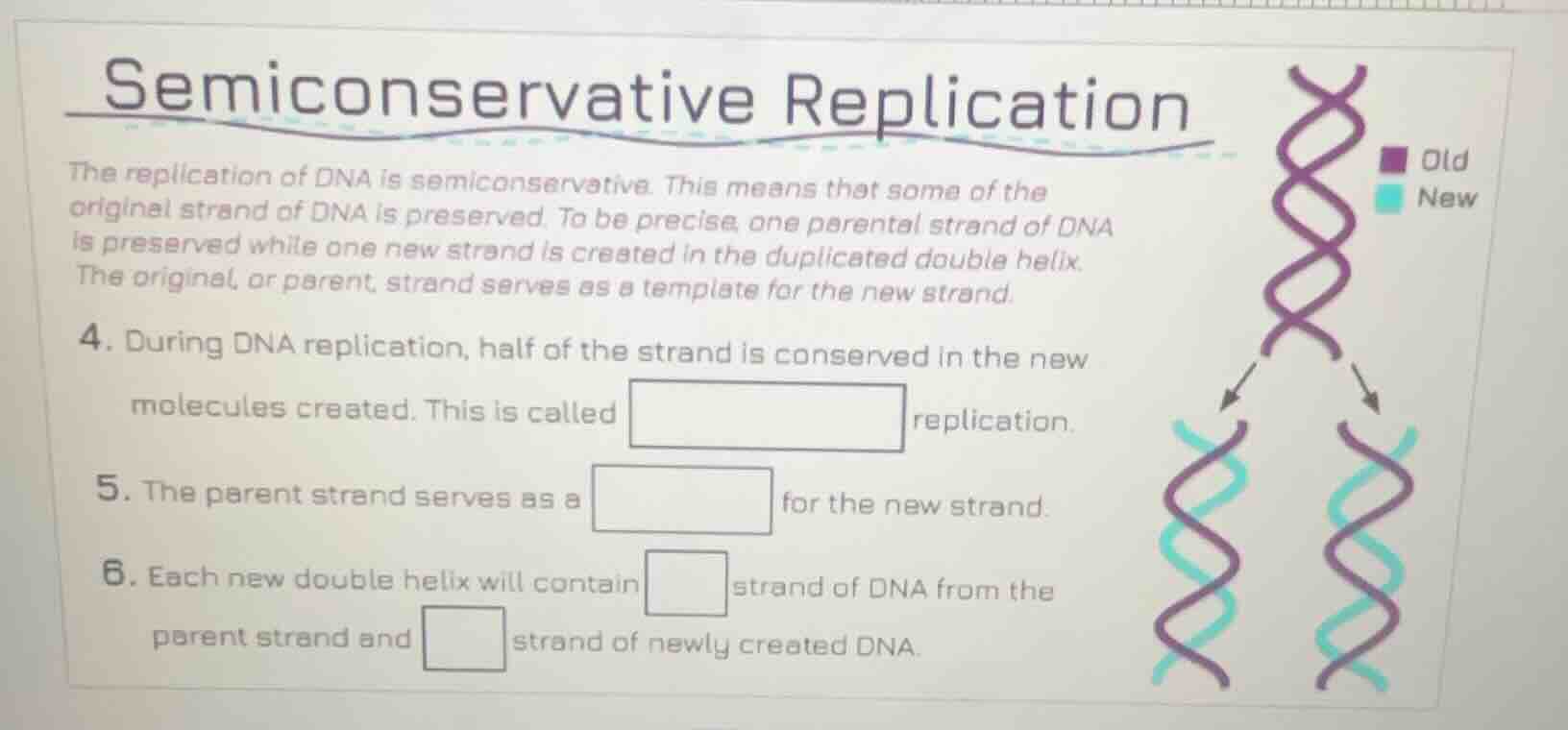 semiconservative replication the replication of dna is semiconservative…
