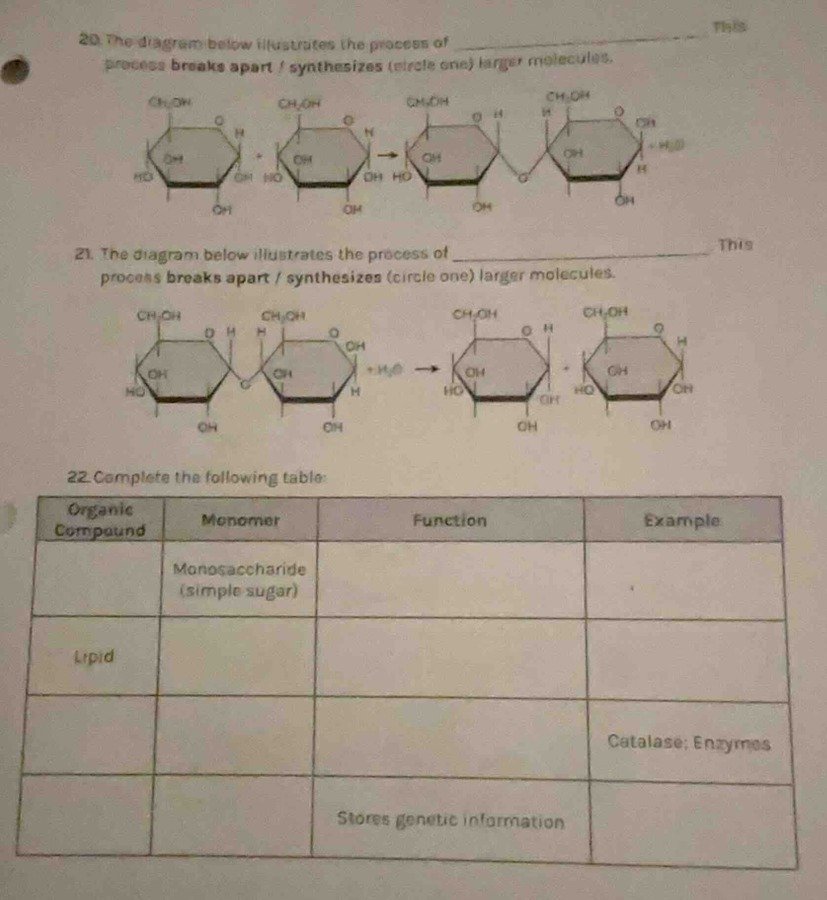 20. the diagram below illustrates the process of ______ this process br…