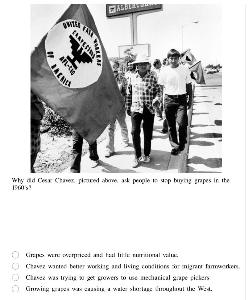 why did cesar chavez, pictured above, ask people to stop buying grapes …