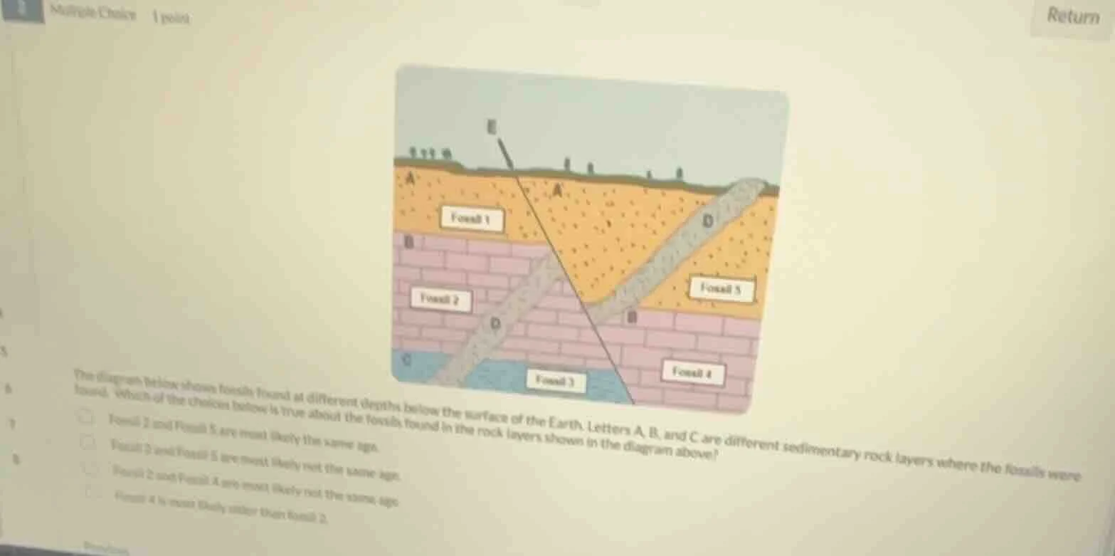 the diagram below shows fossils found at different depths below the sur…