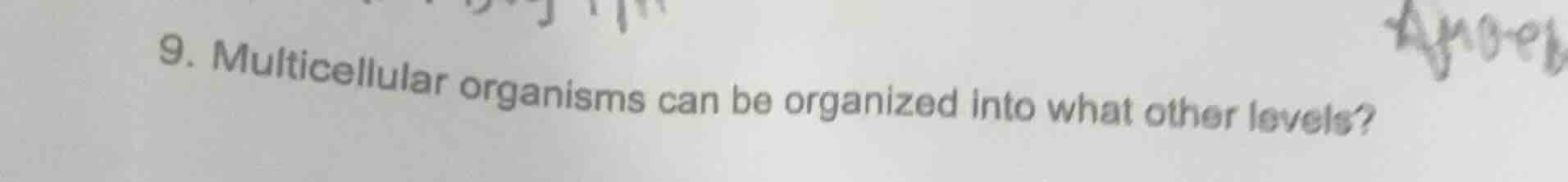 9. multicellular organisms can be organized into what other levels?