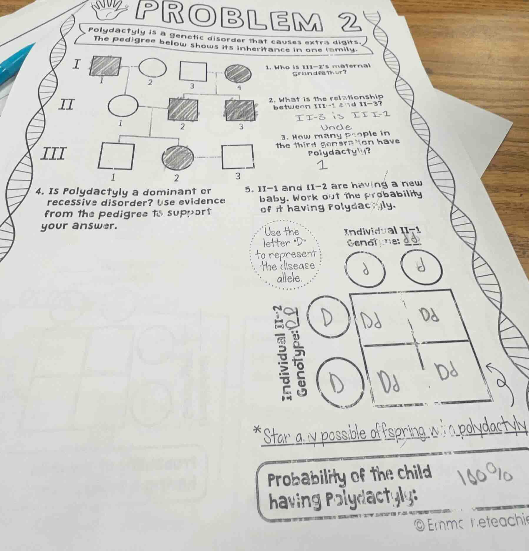 problem 2 polydactyly is a genetic disorder that causes extra digits. t…