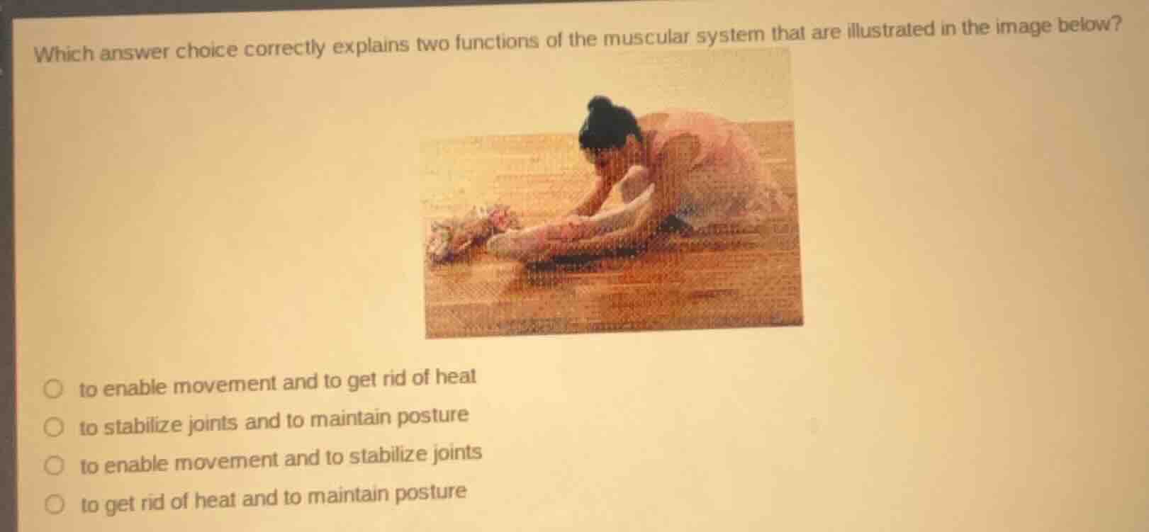 which answer choice correctly explains two functions of the muscular sy…