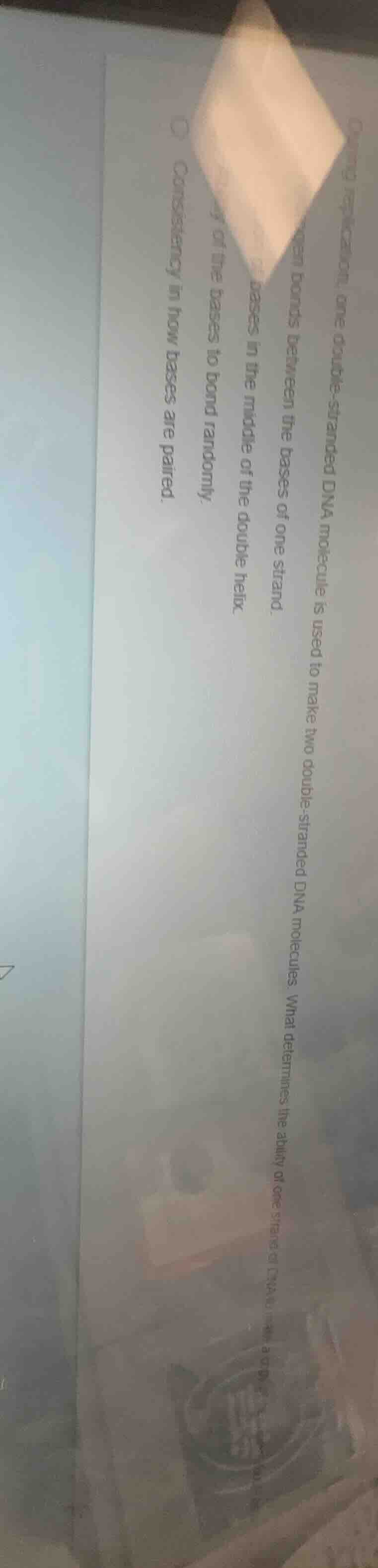 during replication, one double - stranded dna molecule is used to make …