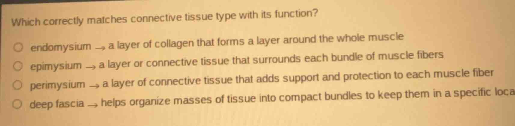 which correctly matches connective tissue type with its function? endom…