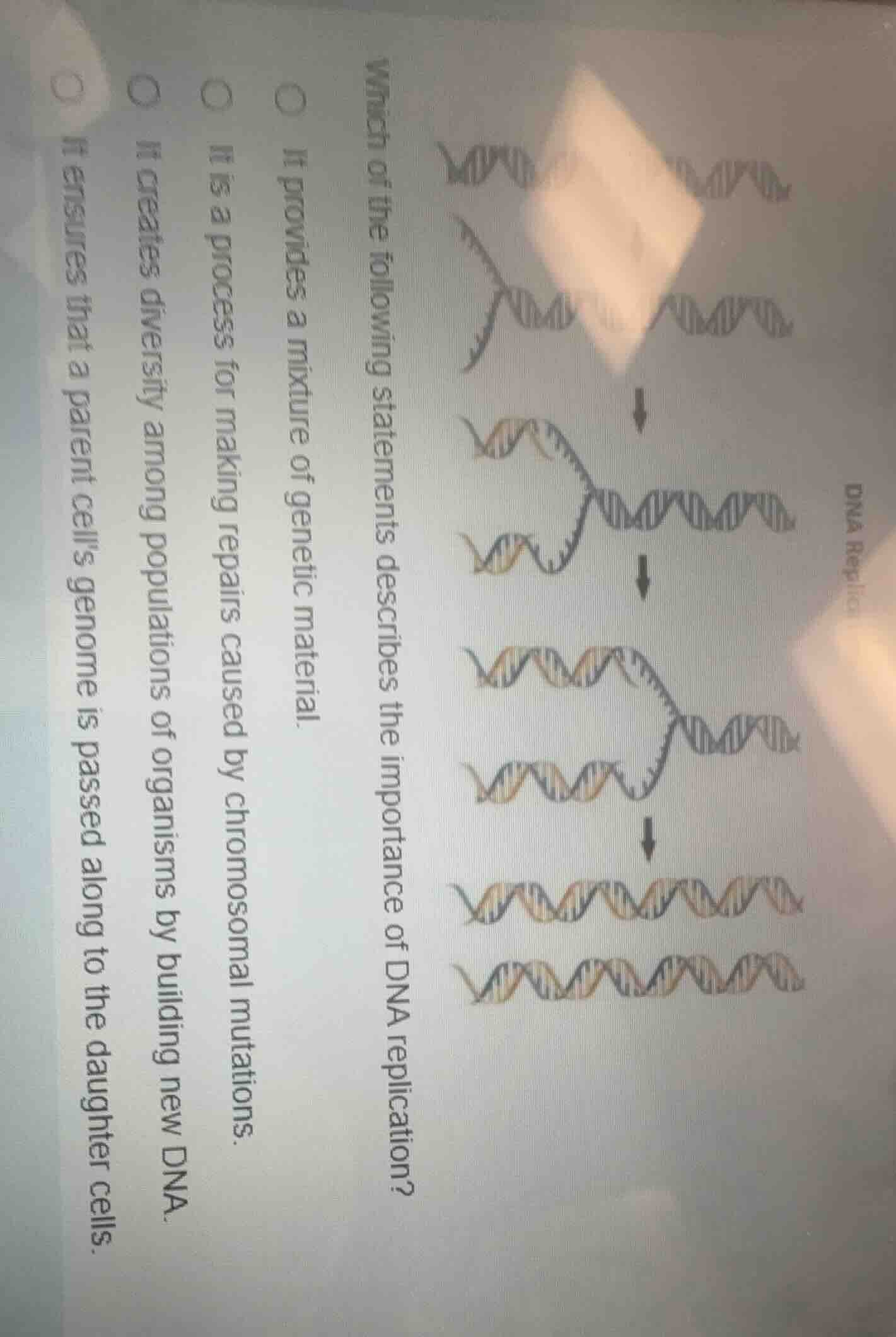 dna replication which of the following statements describes the importa…