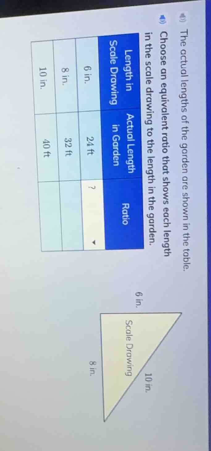 the actual lengths of the garden are shown in the table. choose an equi…