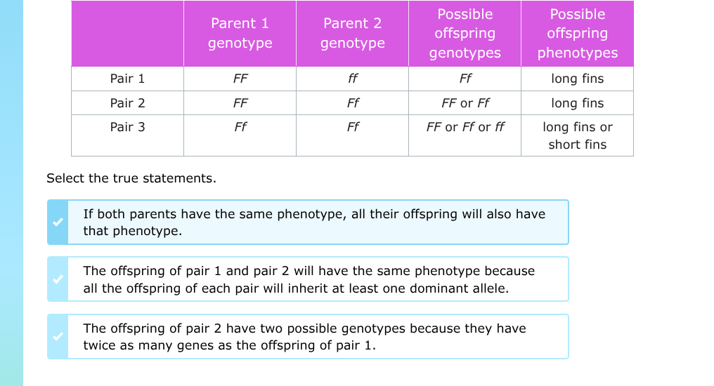 | | parent 1 genotype | parent 2 genotype | possible offspring genotype…