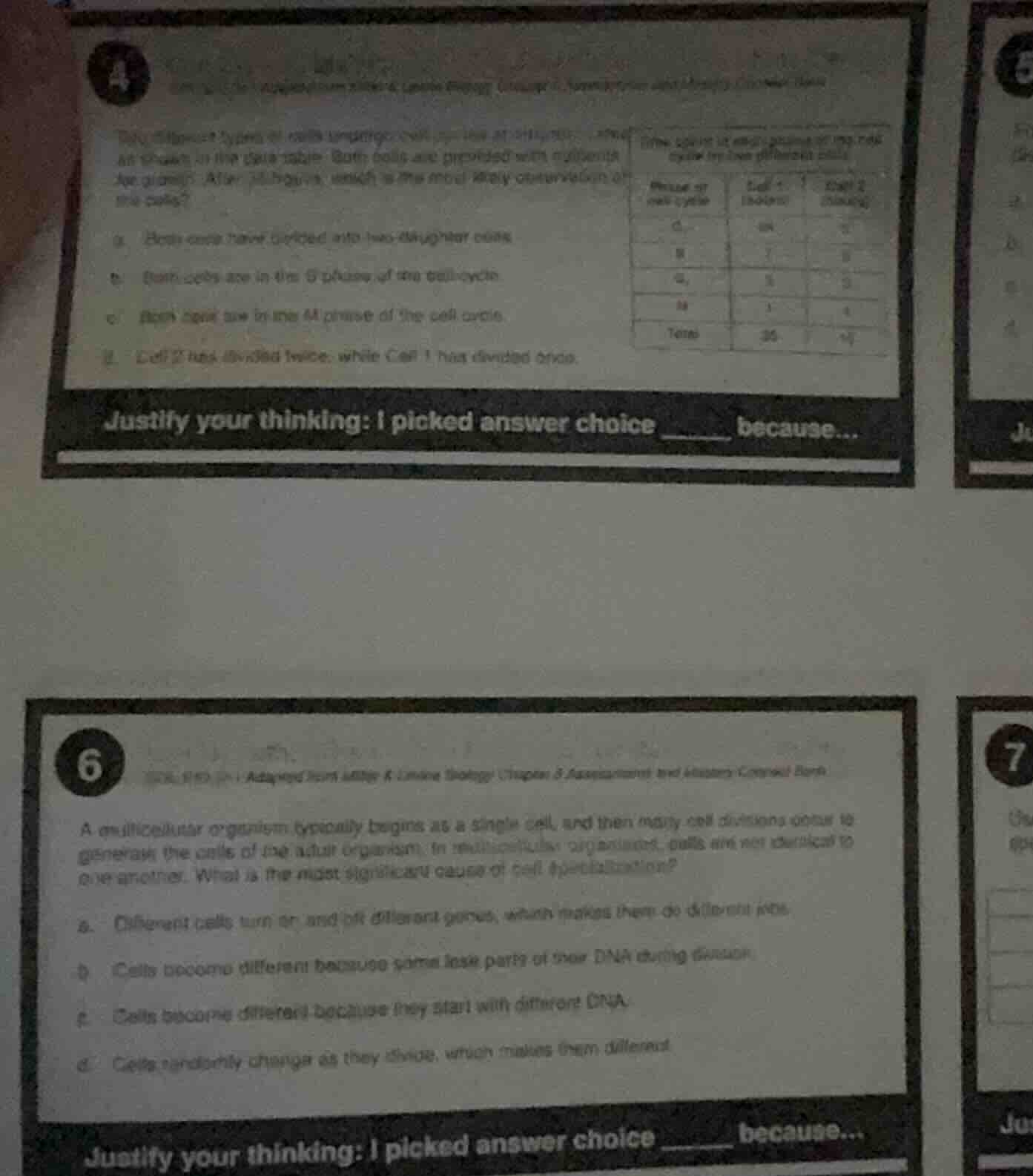 4 the following 2 types of cells undergoing cell division at different …