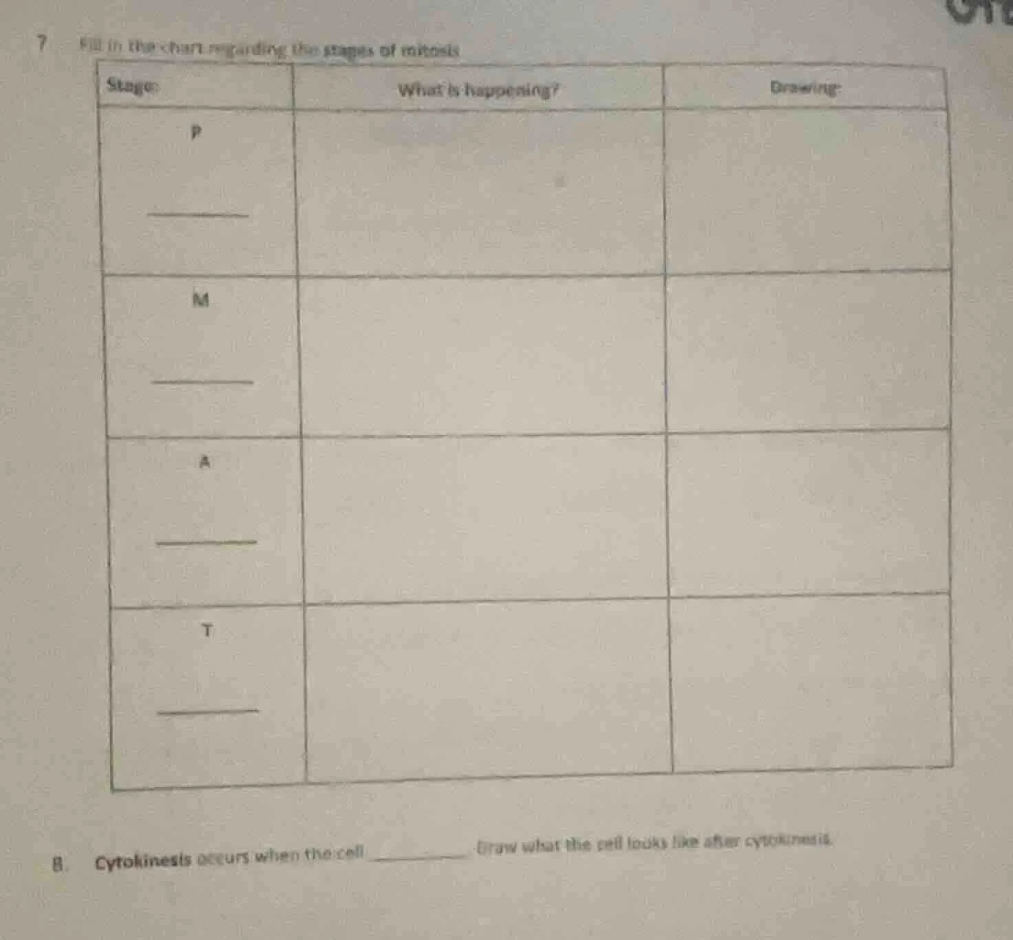 7 fill in the chart regarding the stages of mitosis stage | what is hap…