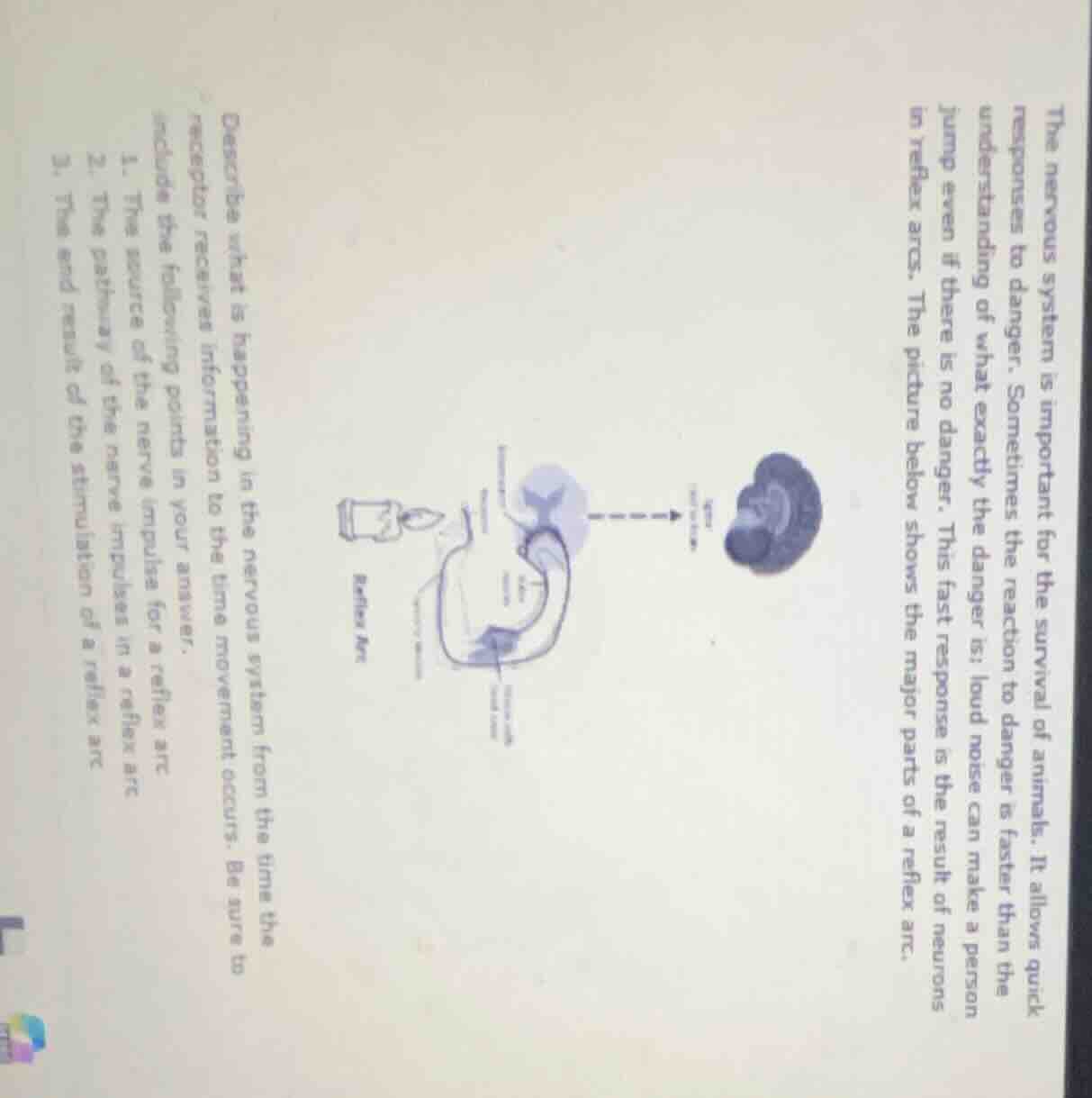 the nervous system is important for the survival of animals. it allows …