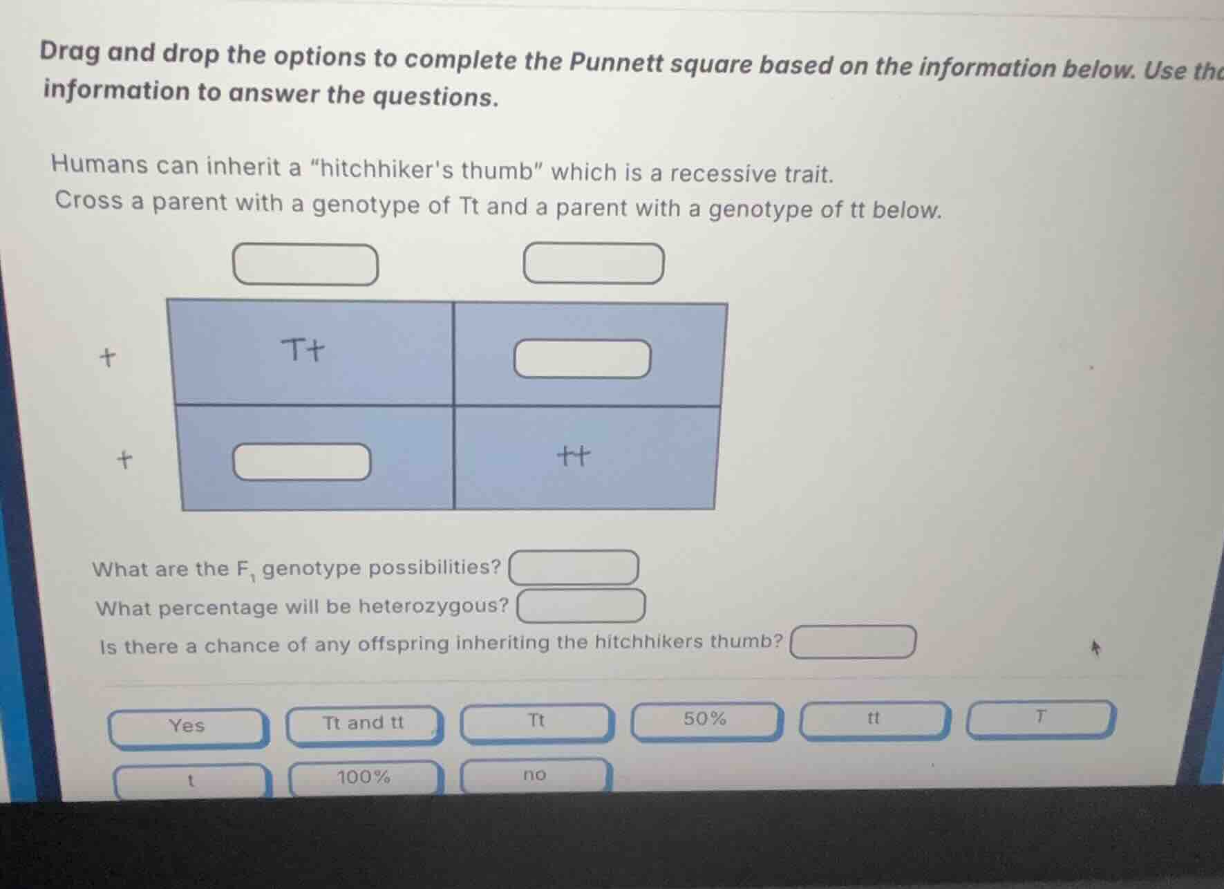 drag and drop the options to complete the punnett square based on the i…