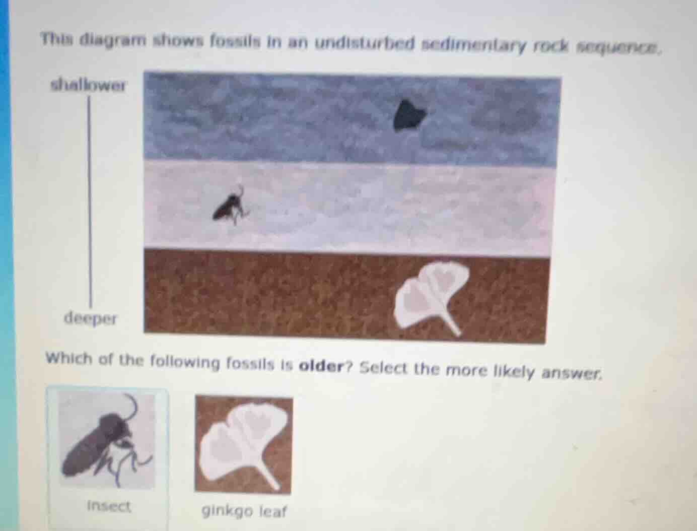 this diagram shows fossils in an undisturbed sedimentary rock sequence.…