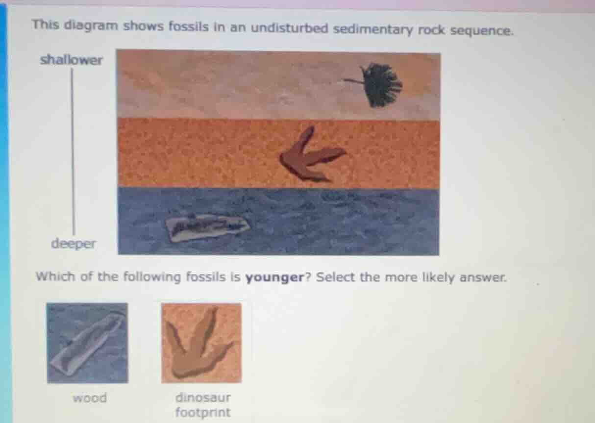 this diagram shows fossils in an undisturbed sedimentary rock sequence.…