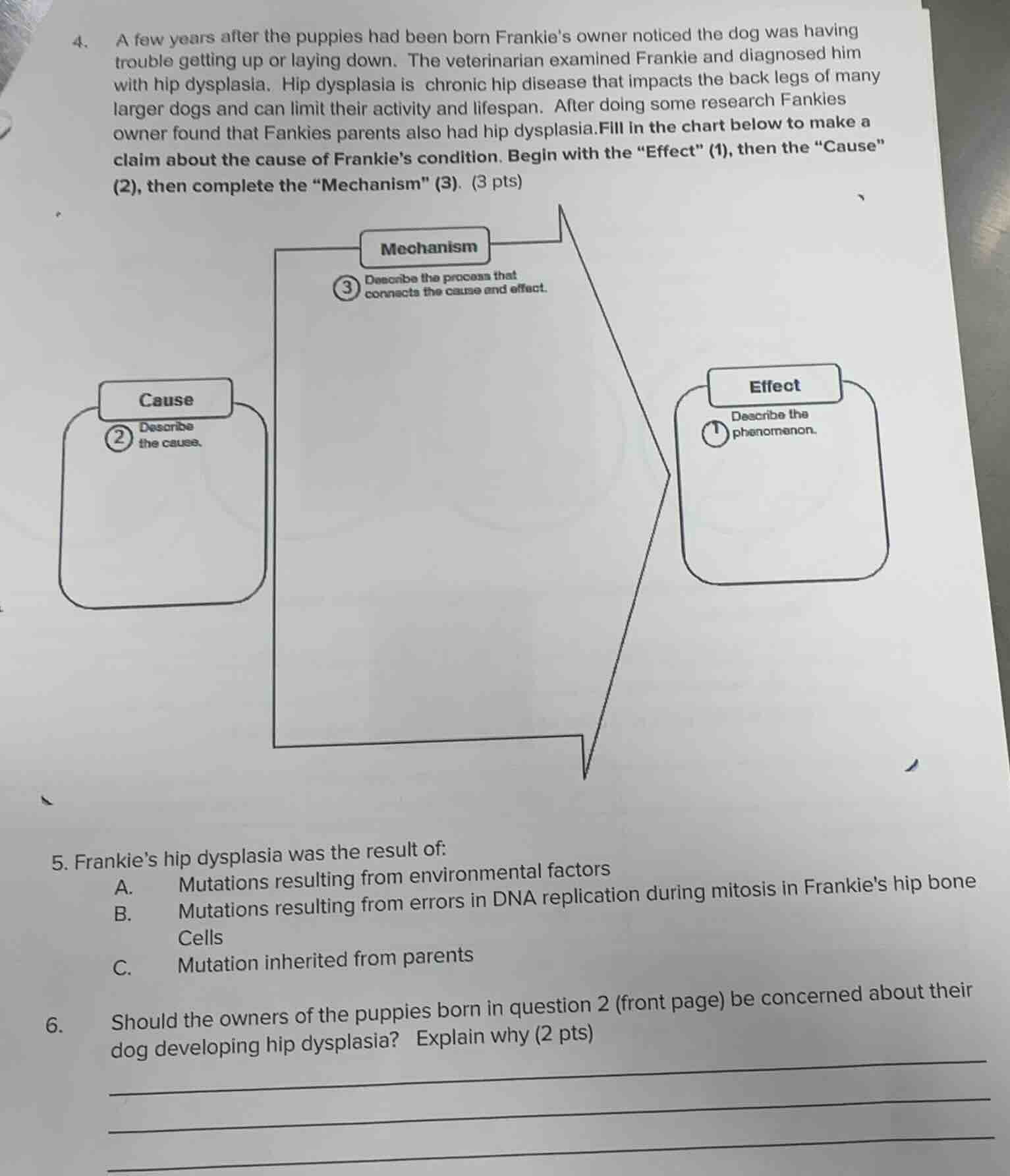 4. a few years after the puppies had been born frankies owner noticed t…