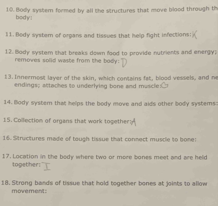 10. body system formed by all the structures that move blood through th…