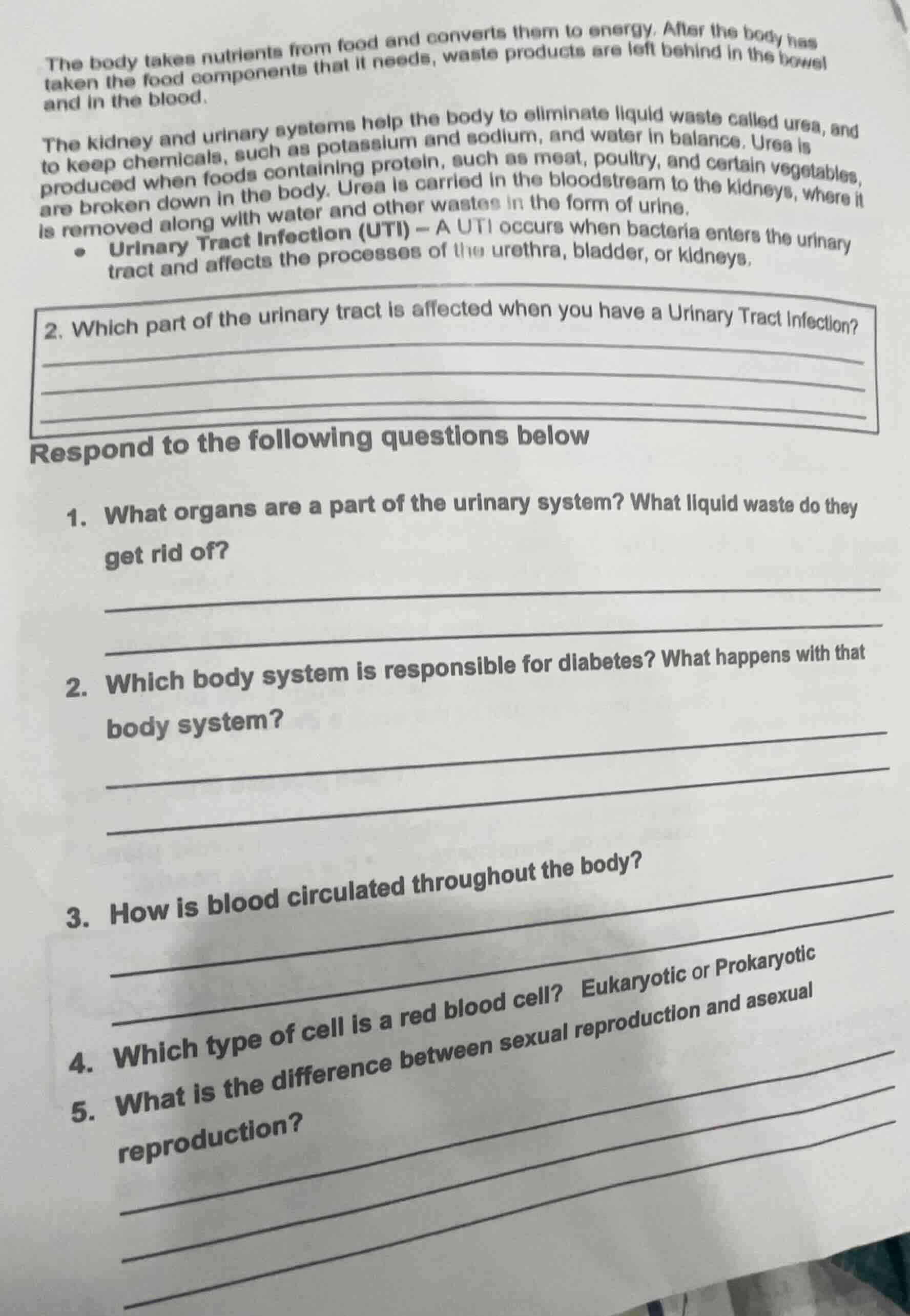the body takes nutrients from food and converts them to energy. after t…