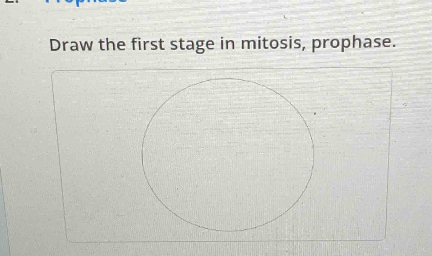 draw the first stage in mitosis, prophase.