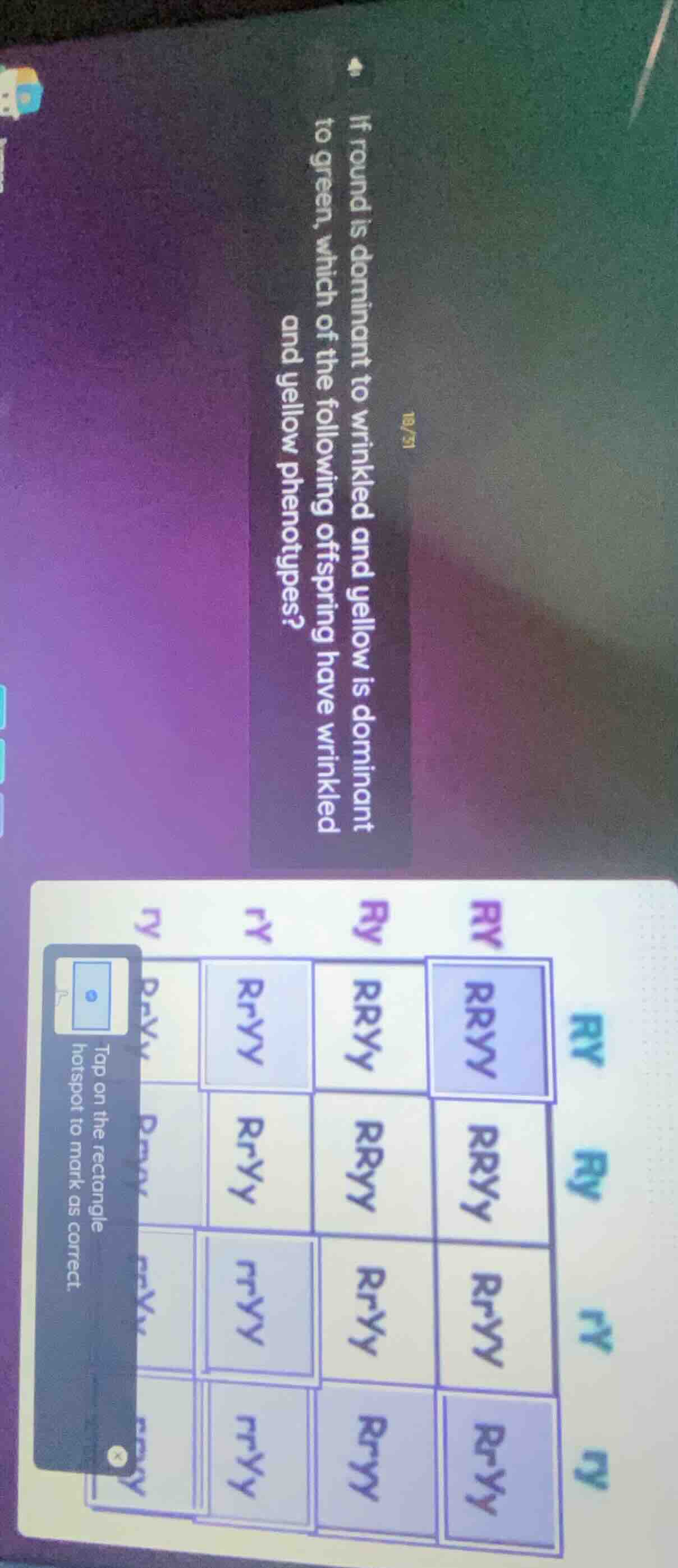 if round is dominant to wrinkled and yellow is dominant to green, which…